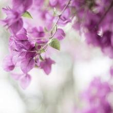 10.家庭情感是理解和支持，信任和考虑。难怪有人说：我们与寒冷同在，我们与温暖同在。