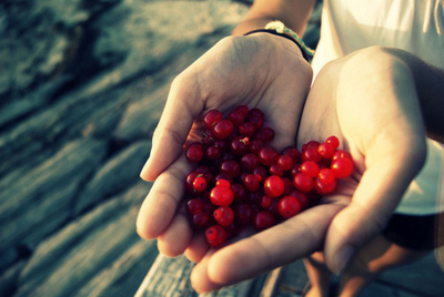 10.家庭之情就像一股源源不断的河水，流淌的是对流浪者心中永恒的向往。家庭之情就像一堆堆无尽的细沙，沉淀是多年积累的照顾。家庭的感情就像夜空中的北斗七星，引导着这只迷路的小羊回家。