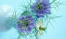 渐行渐远的亲情句子