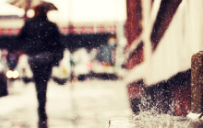 11.最好将失望和委屈之类的东西藏在心中。那些了解您的人不必解释，而那些不了解您的原因也可以解释。