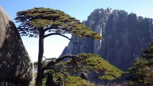 11.内心充满阳光，您必须看到光明。用眼中的爱，你必须善意地说话。只要太阳在心中，一切皆有可能。