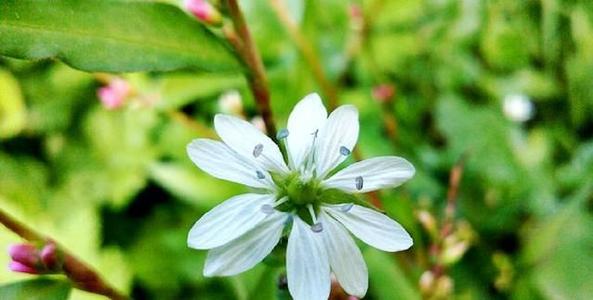 10.我不是故意忘记你的，而是你慢慢地把我对你的态度消化了，不知不觉中，我不再想要拥有你。