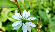 欺骗老婆让男人后悔的句子