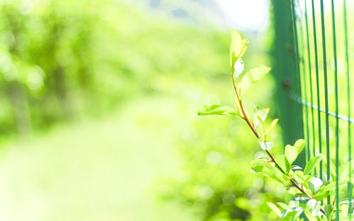 11.父亲的爱与母亲的爱一样无私。他不要求任何回报。父亲的爱是一种晦涩，看不见的情感，只有有心的人才能体验到。