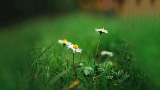 10.家庭亲情就像热可可，一口bra喝热，温暖就会从中庭传播到整个身体。