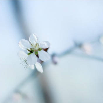 12.家庭，感情，感情……超越时空，编织着生命的美丽彩虹。
