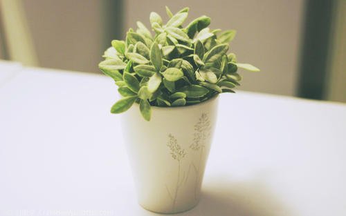 12.如果您注定不会给我期望的答复，请保持安全距离！