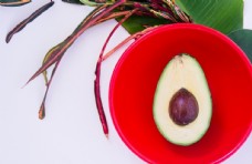 11.什么是家庭感情？是滋养我们成长的甜牛奶。明亮的眼睛指引着我们前进。柔和的话语在乎我们的灵魂。严厉的惩罚促使我们纠正错误。我们离不开家庭的爱，就像不能从纤细的绳索上挣脱的放风筝一样；我们依靠家庭的感情，比如瓜子藤与竹节或篱笆缠绕在一起；我们有家庭的感情，像冷小麦覆盖着白雪，温暖如春，幸福如蜜。