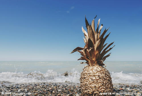 10.家庭之情就像一股源源不断的河水，流淌的是对流浪者心中永恒的向往。家庭感情就像一堆堆无尽的细沙，沉淀的是多年来积累的照顾；家庭的感情就像夜空中的北斗七星，引导着这只迷路的小羊回家。