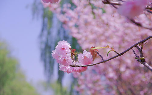 10.在新的一年里，我感到犹豫，并因恐惧而盲目前进。只要了解它最终会通过。