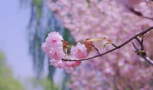 新的一年开心的句子2020