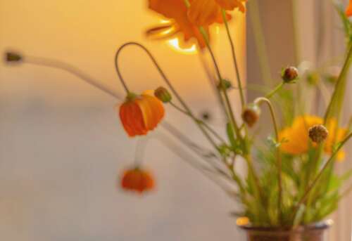 26.现实中最便宜的两件事：无所事事的温柔，贫穷的诚意。