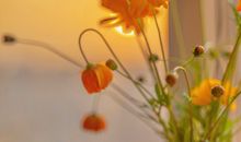 2020最火经典走心句子大全