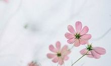 双十一搞笑开心的句子