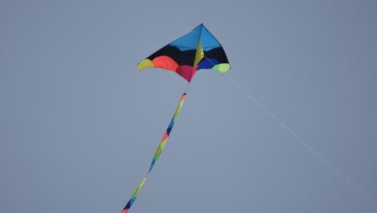 10.一只“老龙”竭尽全力向前奔跑。几只“彩蝶”和“蜻蜓”在空中翩翩起舞。几只“鸟”在云层中互相追逐，哦，他们在玩捉迷藏的游戏……我着迷了，仿佛置身于风筝世界中。