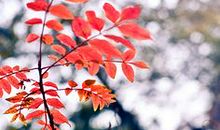 深入人心的亲情句子