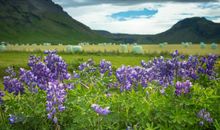 和宝贝在一起开心的句子