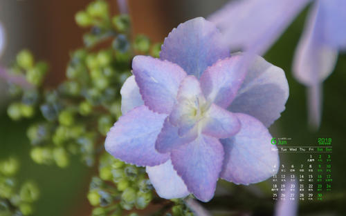 11.旅行是离开熟悉的生活场所，并以不同的方式返回。旅行就是回到出发地