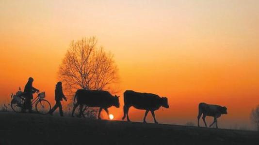 11.看着窗外的毛毛雨，毛毛细雨仍在挥之不去，闷热的秋雨再次打乱了我的心，无意间动了动弦乐！