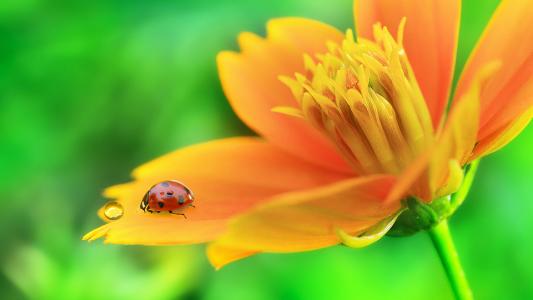 10.说您想让自己快乐，但总是让自己受委屈。