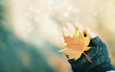 10.家庭感情是无私的。世界上没有什么比她更能牺牲自己了。