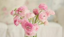 能逗人开心的句子大全