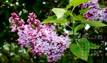 开心有质感的句子