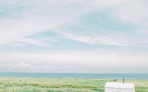 12.你是个没有被淤泥弄脏的红薯，一种明虾。我要向你致意...读我短信的可爱傻瓜祝你：每天快乐！