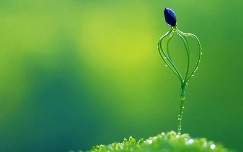 10.仅考虑金钱的婚姻是荒谬的，而不考虑金钱的婚姻是愚蠢的。