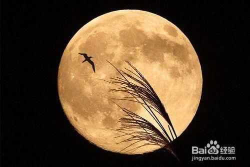 漂亮的句子描述月亮1