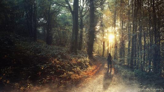 11.没有广阔的蓝天，白云和悠闲；没有梅花，有野花简洁。没有河流在流淌，有小河persistent绕；我们想要像白色的云朵，野花，小河，朋友一样变得美丽，您不必这样做，而且您很美丽！