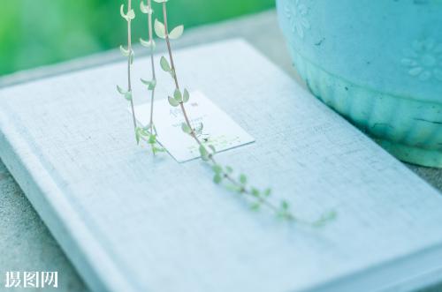 11.我曾经相信爱情，后来才知道爱情必须转化为家庭感情才能持久，但是爱情转化为家庭感情就像一杯水里的冰块，它仍然是冰块吗？