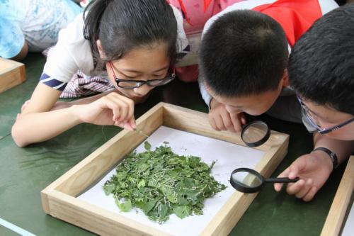 10.领导者应具有敏锐的观察能力，以了解秋天的落叶。