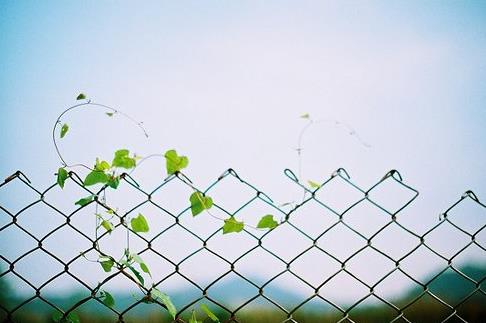 10.它告诉我们，我们每个人都可以通过不法手段赚钱；教导我们每个人都不知道羞耻是什么；教导我们每个人只认钱，不认亲情；教导我们每个人不要善恶；教导我们每个人都不能做好事；它教会了我们每个人如何被欺骗和绑架；它告诉我们，每个人都是对非错。它也告诉我们很难区分真假。