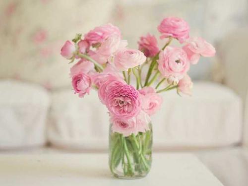 12.如果有人发现大草莓，他会大喊大叫，以免被他的伴侣抢占先机，然后急忙摘下草莓，然后扔进嘴里。酸的红色草莓会在不咬牙的情况下在他的嘴里变软，并sm他的嘴。酸甜