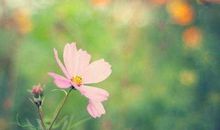 形容帮助别人自己也开心受益的句子