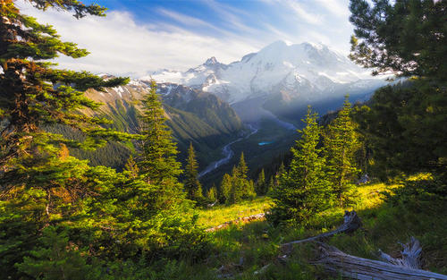 10.较小，您可以立即进入。一碗清凉甜美的水可以滋润我渴的灵魂。