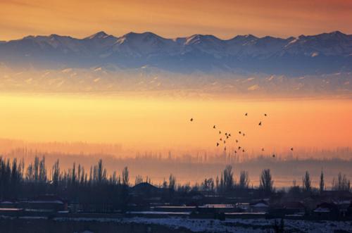 12.当我们感到悲观时，它会鼓励我们并使我们脱离失败的阴影。