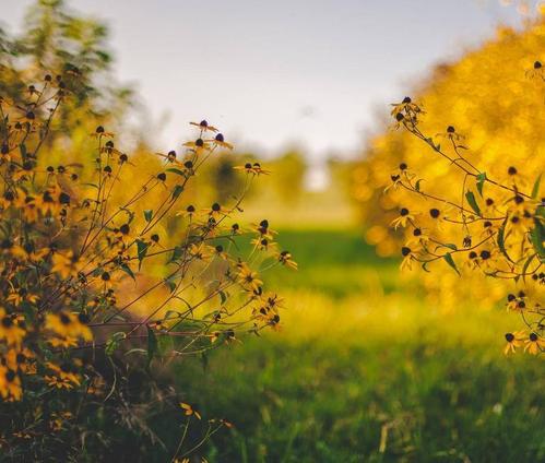 10.在我离开之前，您会被感动吗？