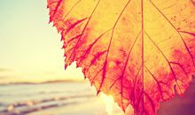 经典的开心句子说说