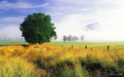 10.周末的生活非常幸福，转眼间又是星期一，带着周末的喜悦，带着周末的闲暇，抱着周末的微笑，回到了新的一周，努力工作，老板笑了，开心地工作了另一天。