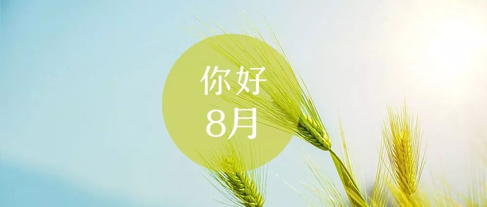 关于他人的经典言论必须评论第九期