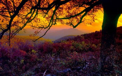 9.生活因关注而美好，职业因成就而挣扎，生活因爱与被爱而非常幸福，周末因星期一而极为渴望，希望星期一对工作职位充满信心并取得更大成就！