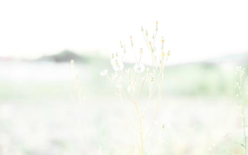 12.当忘记成为另一个开始时，记忆消失，痛苦是最真实的...