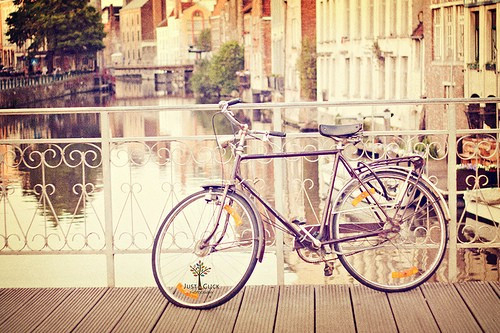 12.痛苦过后,您再也不会感觉到痛苦了,有些只会变得冷漠。 