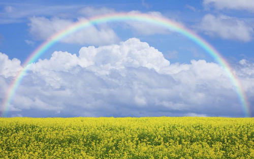 12.我希望你听到我的心，我希望你看到我的爱。我不怕承认我对你的依恋。当我想念你的时候，希望你能收到我的真诚信息！