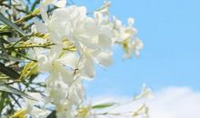 亲情永恒的英文句子