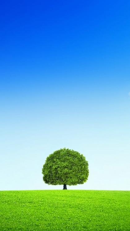 12.我莫名其妙地难过；还有一朵盆花，一幅画，一首诗和一些提醒