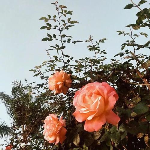 10.力量总是决定您在家庭关系中的地位！您只能随时相信自己。