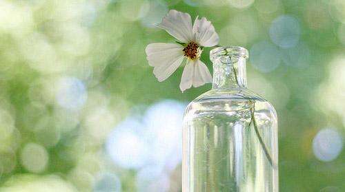 10.礼貌是最容易做的事情，也是最宝贵的事情。